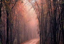 开云平台-谢菲联意外获得胜利，排名飙升的奇妙之旅