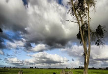 开云体育官网-摩洛哥瓦赫达攻防火力全开，防守迎挑战