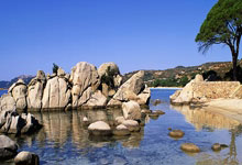 开云体育登录-西悉尼流浪者防守体系调整，力求守住关键战局