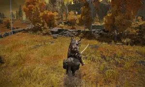 关于尼斯罗德尔尔愿望客场最少场掘岩的信息