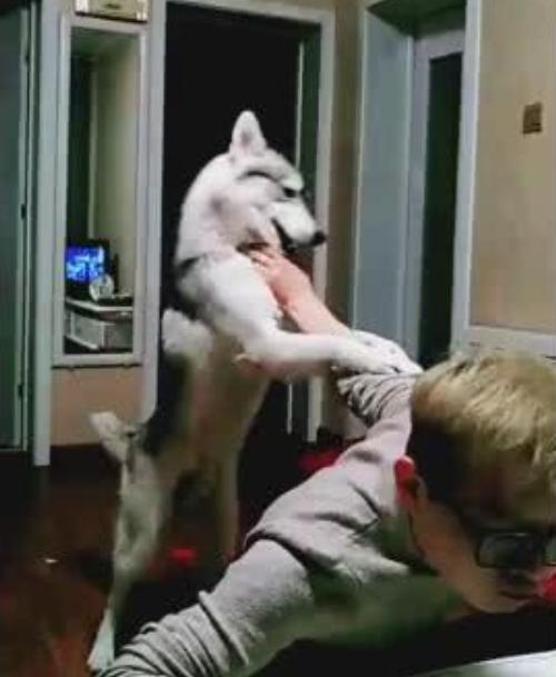 双方互不相让,场面激烈角逐 双方互不相让,场面激烈角逐