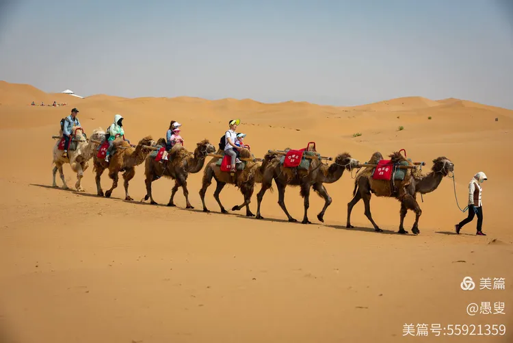 宁夏队全队出击,豪取一场惊险胜利 宁夏队全队出击,豪取一场惊险胜利