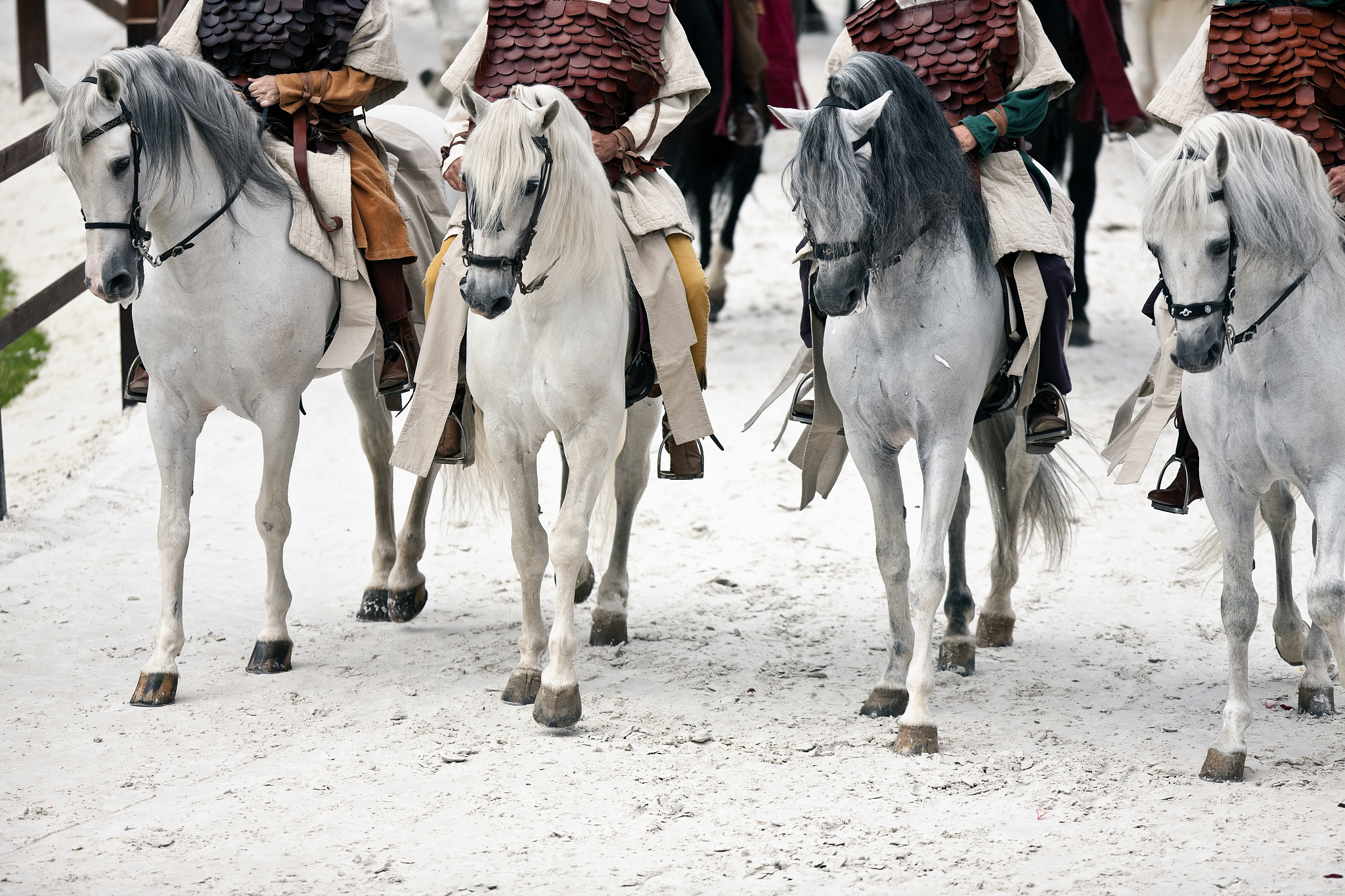 赛马比赛引发热情!日本马匹力挽狂澜夺冠! 赛马比赛引发热情!日本马匹力挽狂澜夺冠!