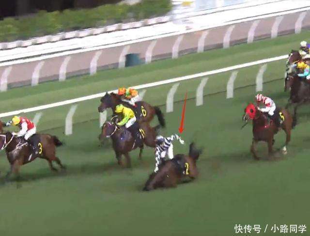 赛马比赛引发热情!日本马匹力挽狂澜夺冠! 赛马比赛引发热情!日本马匹力挽狂澜夺冠!