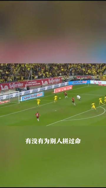 拜仁慕尼黑对阵曼城，冠军之战众望所归的简单介绍