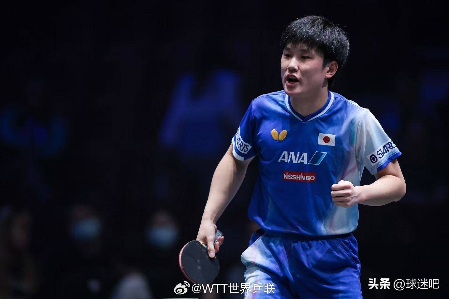 关于葡萄牙队鏖战法国队,张本智和点燃赛场的信息 关于葡萄牙队鏖战法国队,张本智和点燃赛场的信息