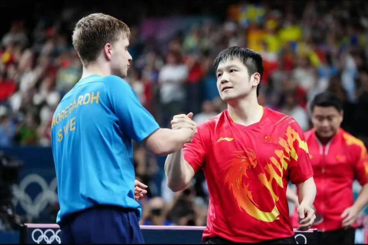 开云体育-奥地利队逆转波兰队，樊振东扛起全队