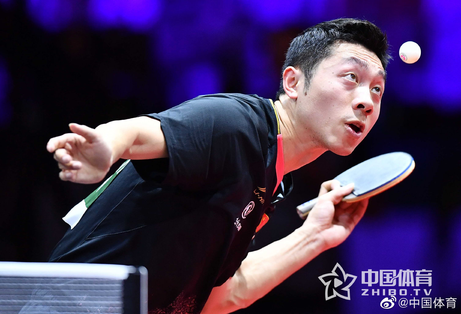 开云官网-中国队完胜法国队，黄鸭组合点燃赛场